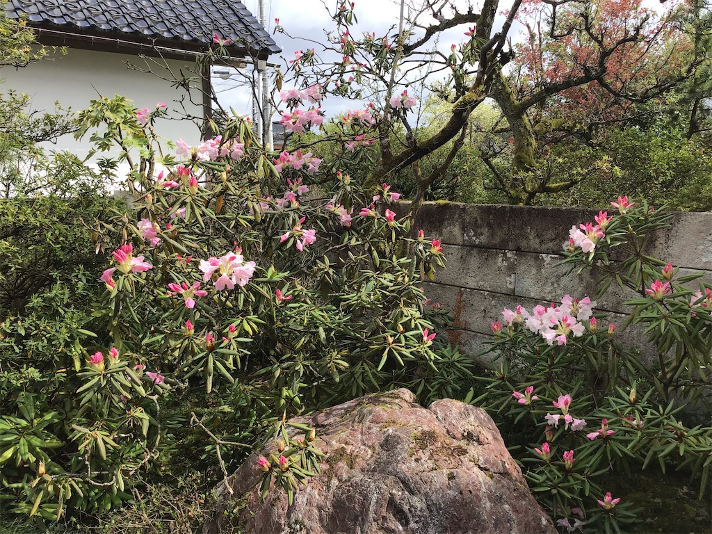 f:id:g3org3:20210418215915j:image