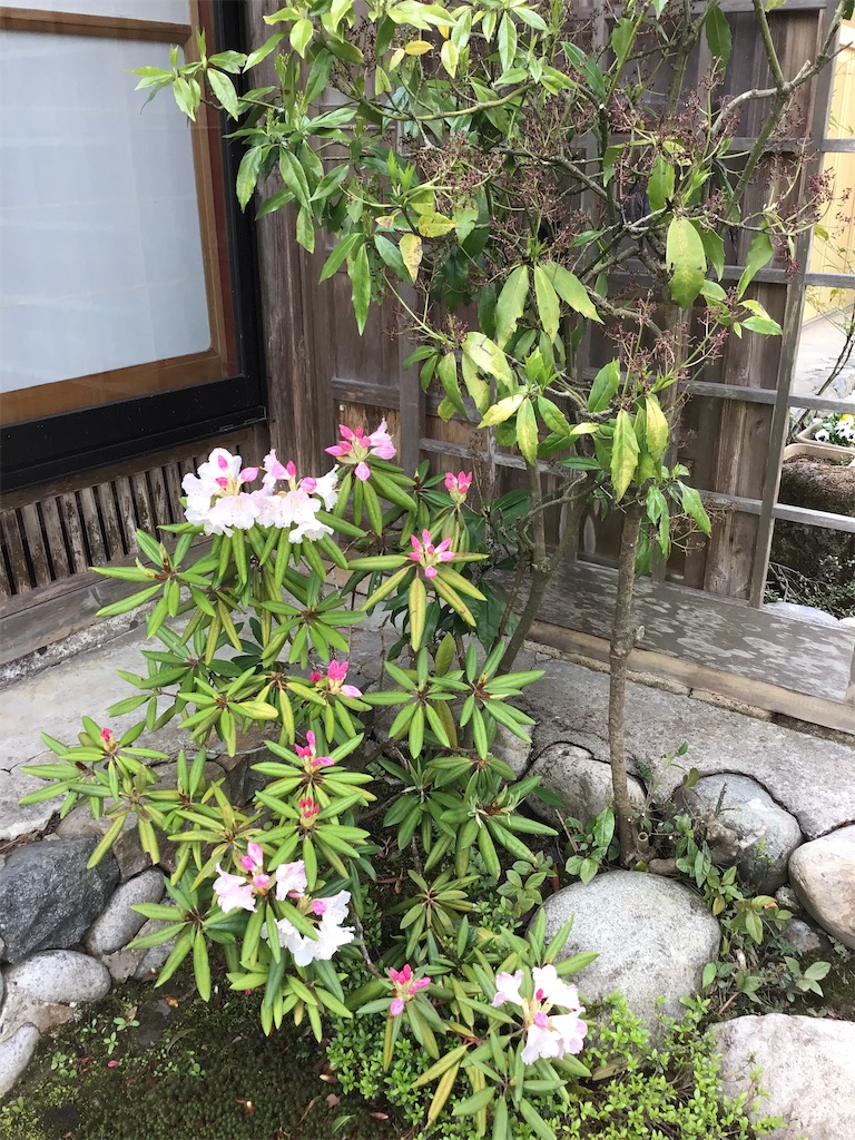 f:id:g3org3:20210418215921j:image