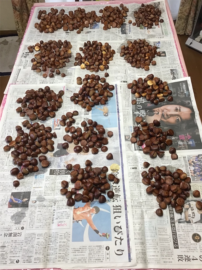 f:id:g3org3:20210915220125j:image