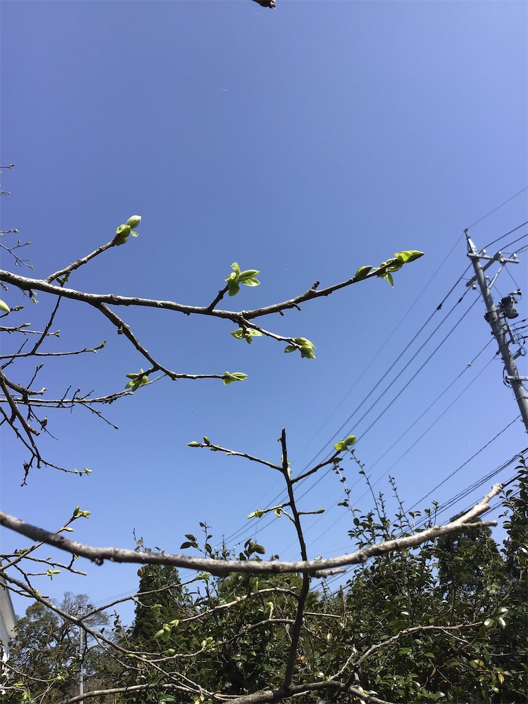 f:id:g3org3:20220412233540j:image