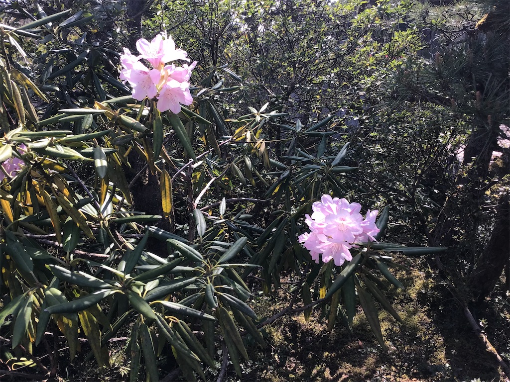 f:id:g3org3:20220412233653j:image