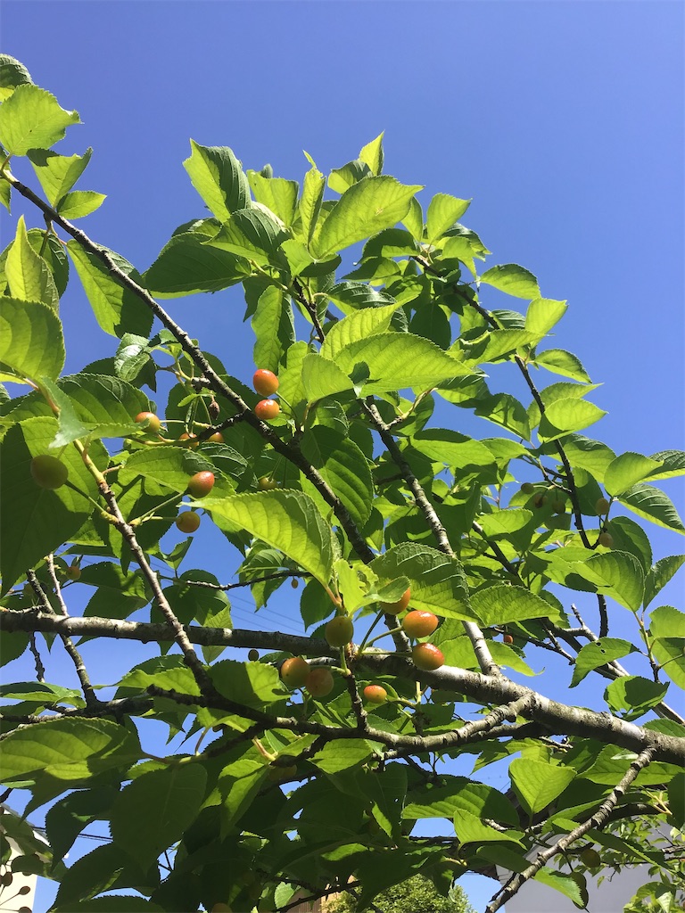 f:id:g3org3:20220510141608j:image