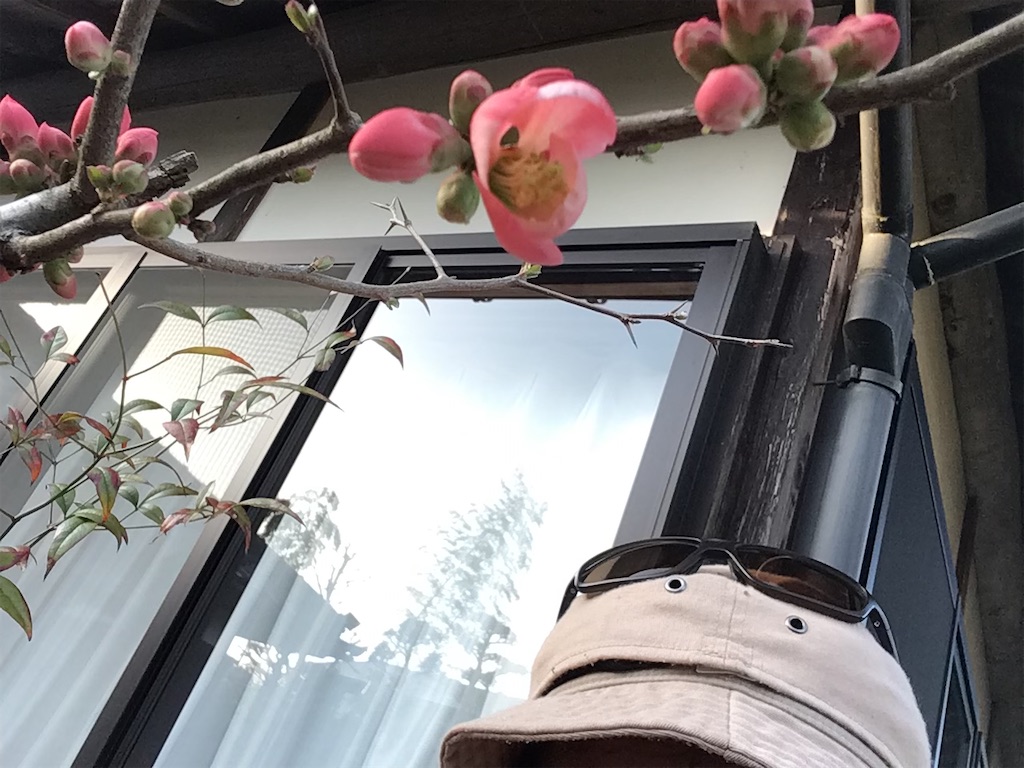 f:id:g3org3:20230316072803j:image