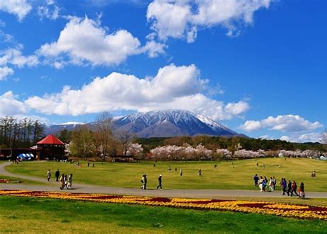 小岩井農場