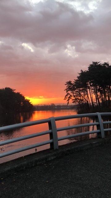 散歩道の風景