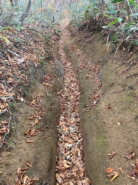 登山道