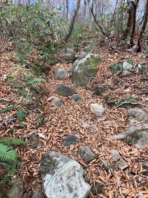 登山道