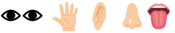 f:id:g5skaizen:20200816073036p:plain