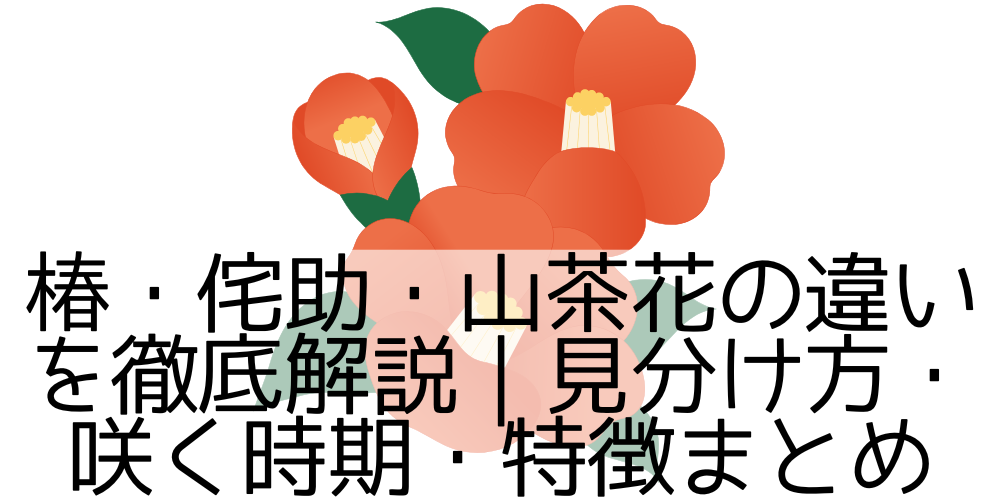 椿・侘助・山茶花の違いを徹底解説|見分け方・咲く時期・特徴まとめ - ぴすたちおのひとり言