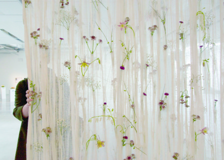 f:id:g86:20100428140406j:image