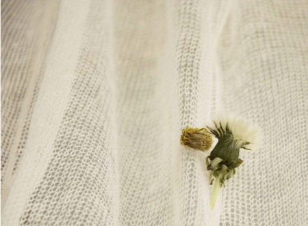 f:id:g86:20100527132631j:image