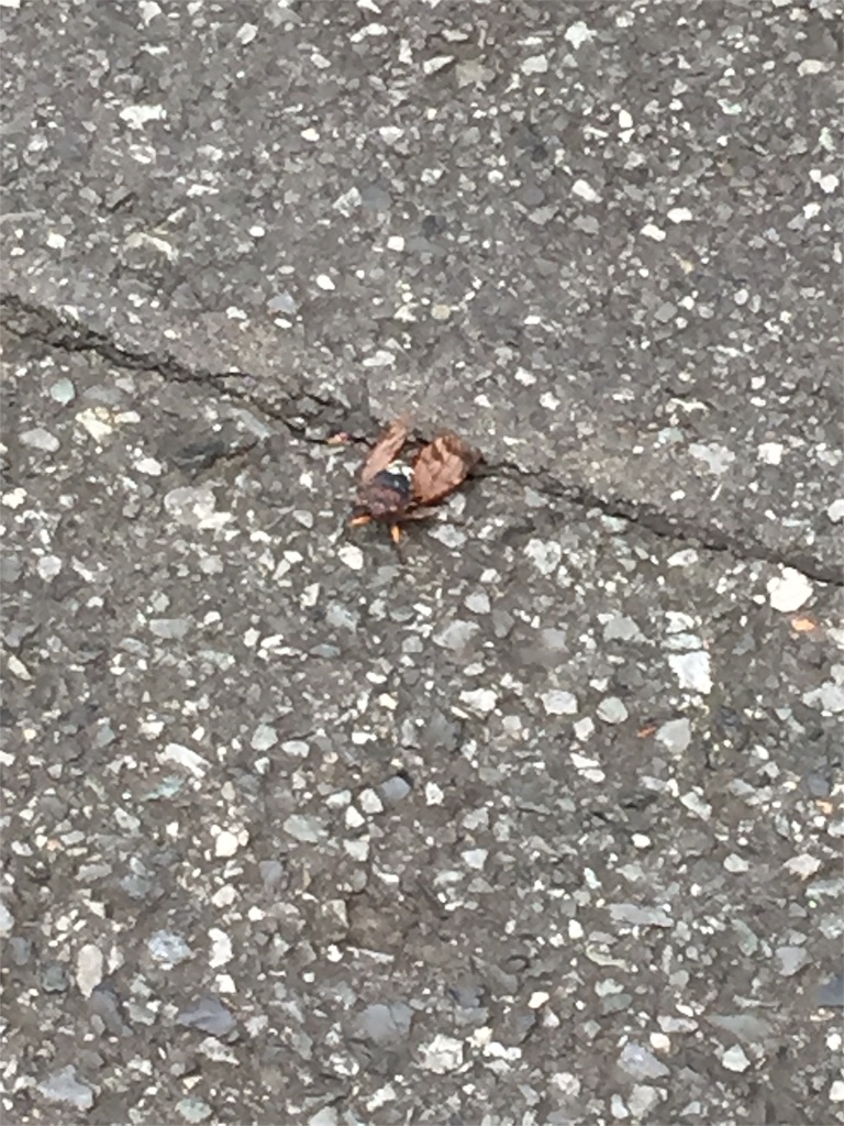 f:id:g913:20160827113208j:image