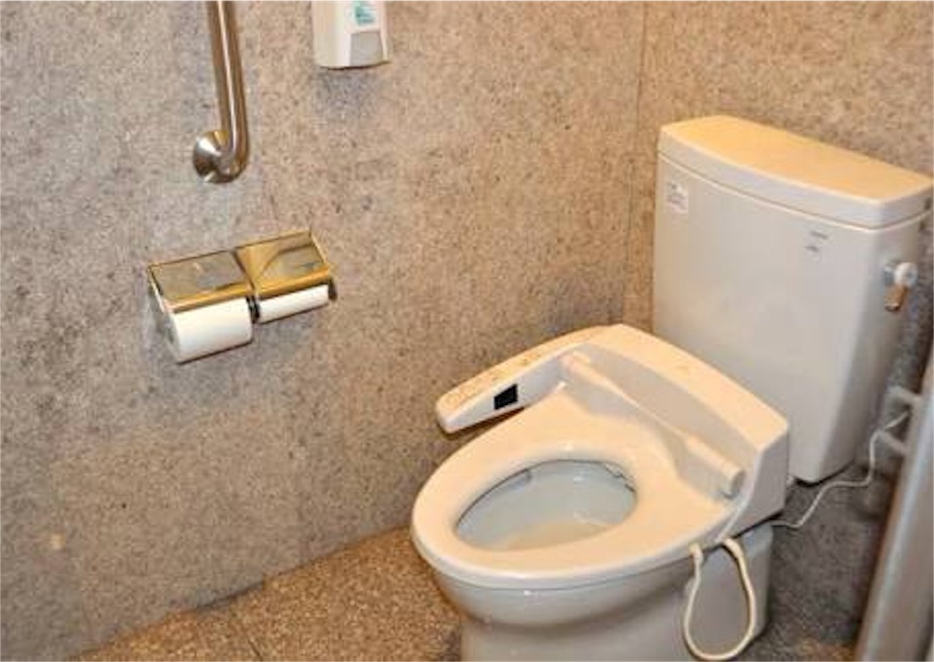 もしトイレで死んだら 下半身丸出しのまま死ぬってこと 私の名前はジロギン