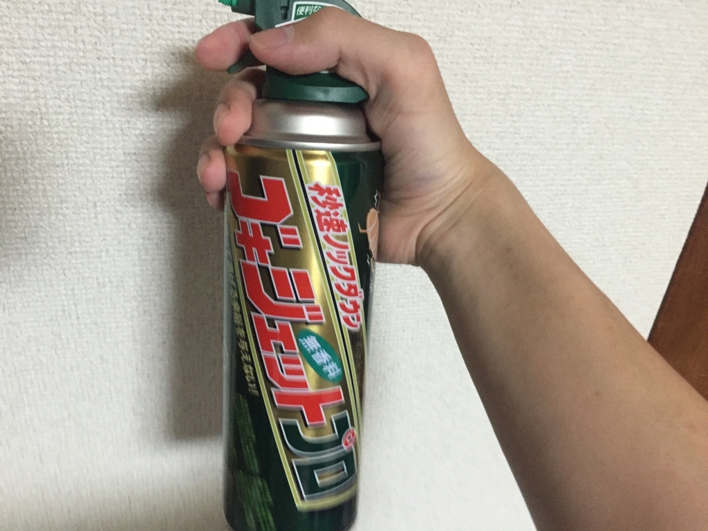 f:id:g913:20170529220556j:plain