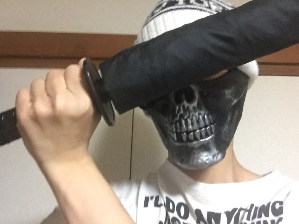 f:id:g913:20170603230027j:plain f:id:g913:20170603230027j:plain