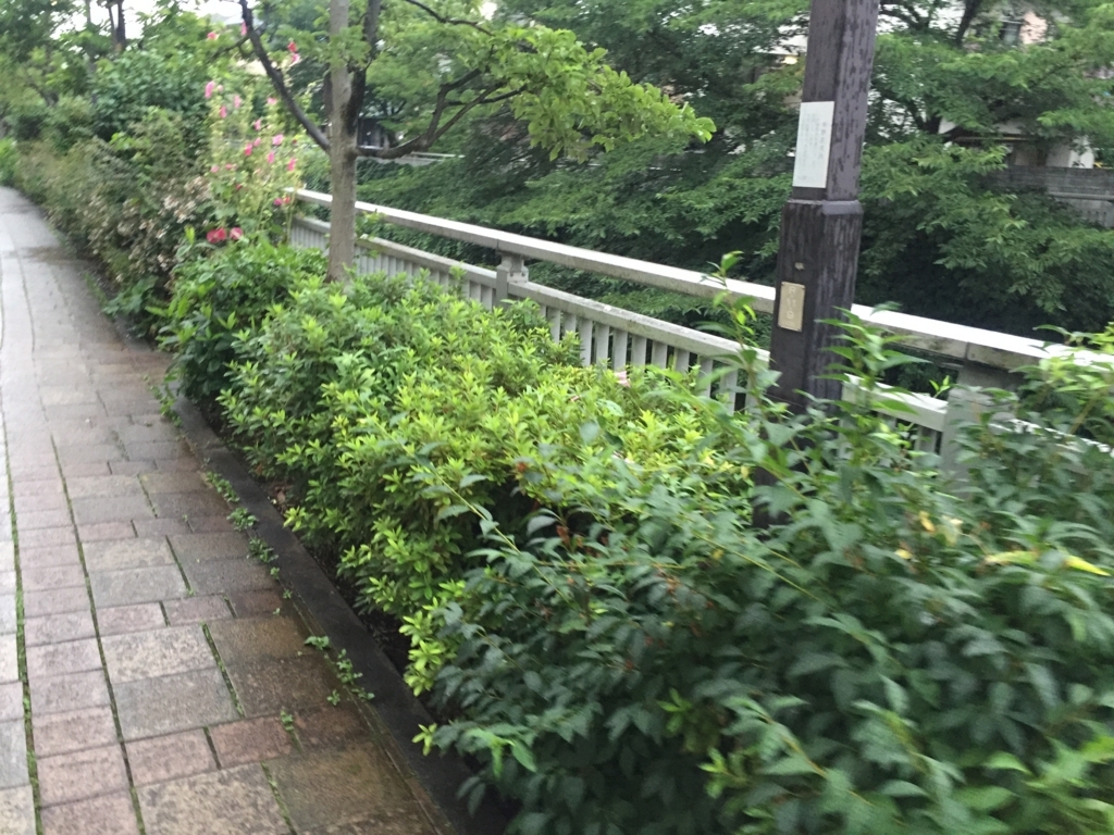 f:id:g913:20170701063939j:plain