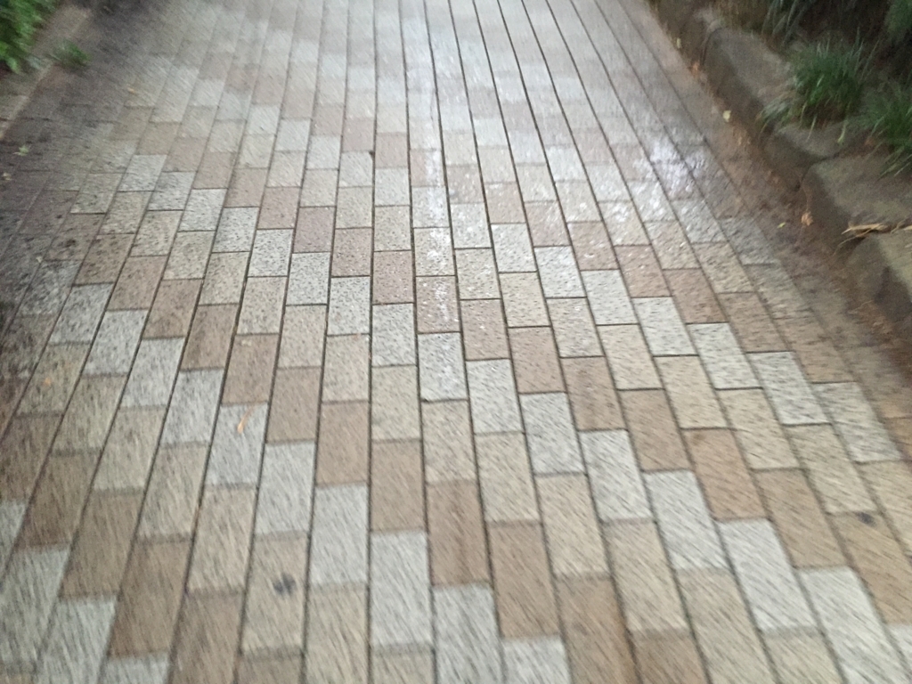 f:id:g913:20170701064719j:plain