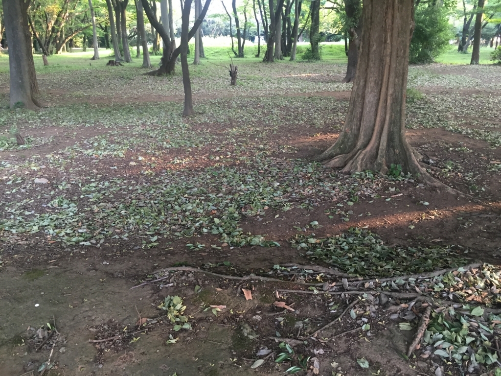 f:id:g913:20170722075633j:plain f:id:g913:20170722075633j:plain