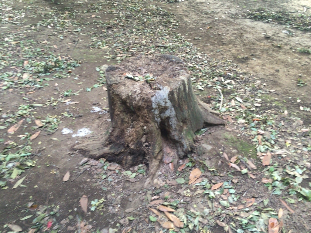 f:id:g913:20170722080017j:plain f:id:g913:20170722080017j:plain