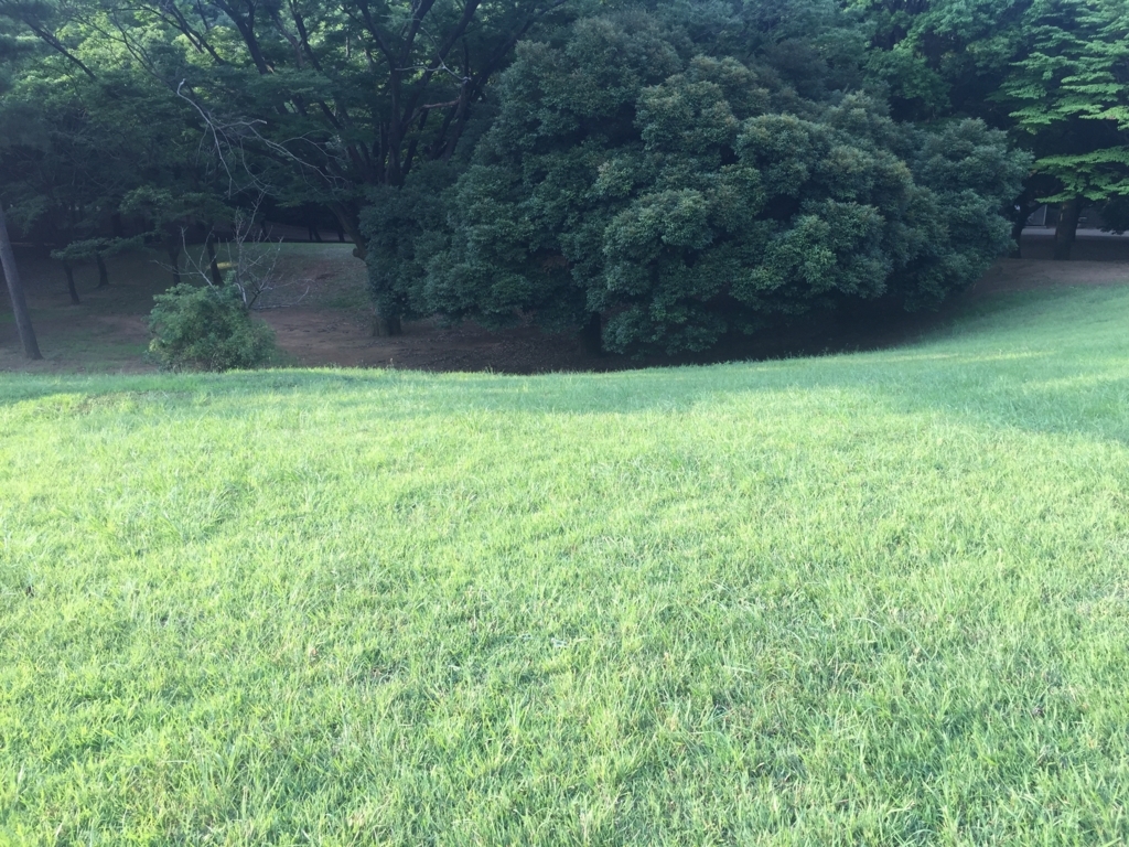 f:id:g913:20170722080557j:plain f:id:g913:20170722080557j:plain