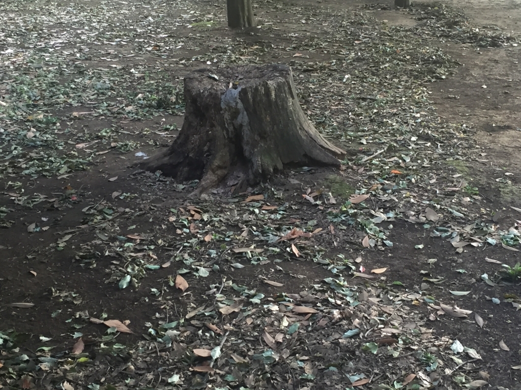 f:id:g913:20170722081732j:plain f:id:g913:20170722081732j:plain