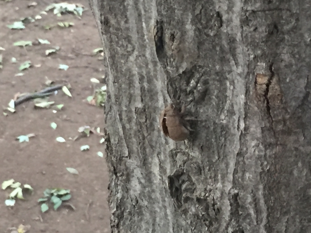 f:id:g913:20170722083056j:plain f:id:g913:20170722083056j:plain