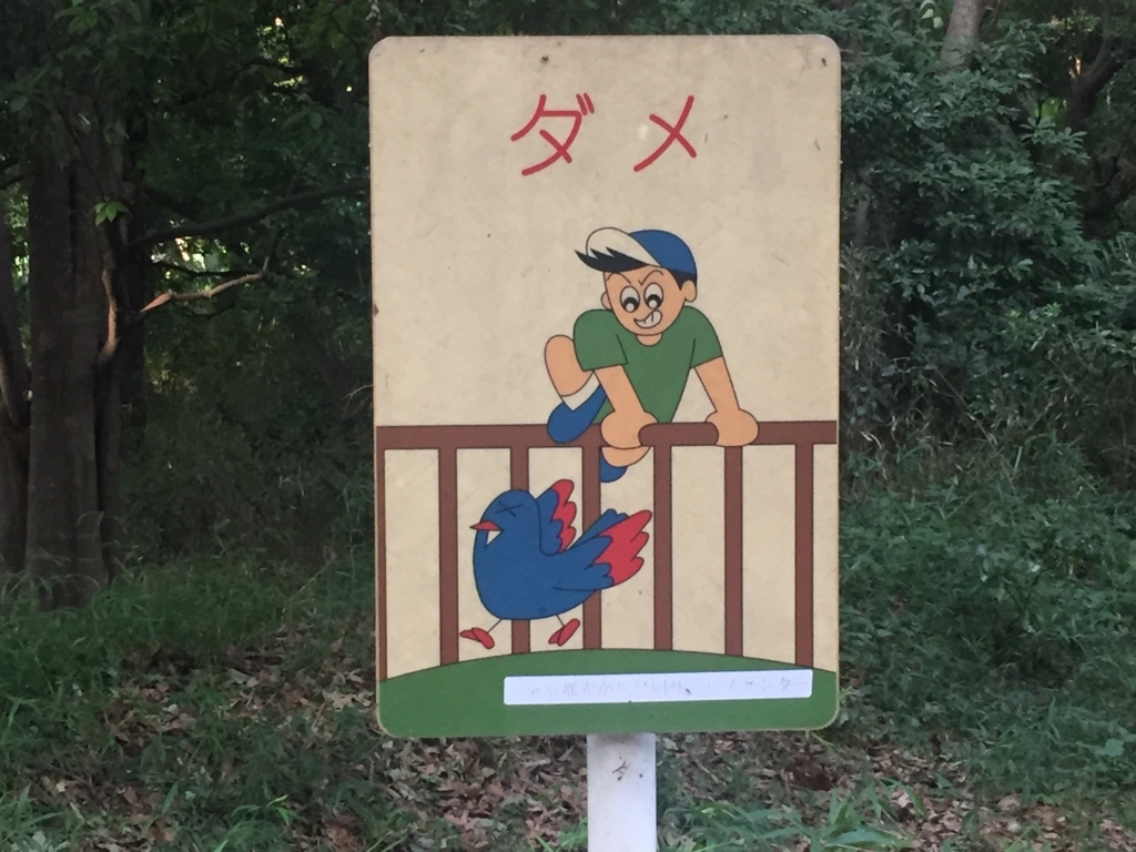 f:id:g913:20170722084355j:plain f:id:g913:20170722084355j:plain