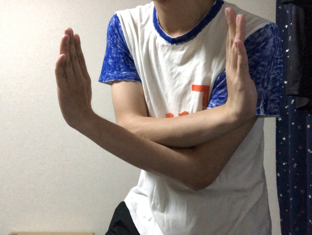f:id:g913:20180712204550j:plain