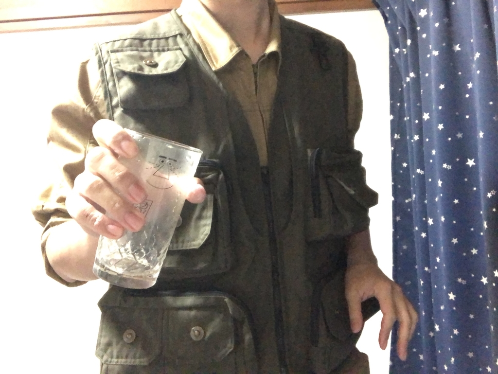 f:id:g913:20181122212932j:plain f:id:g913:20181122212932j:plain