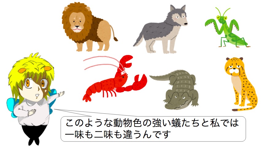 f:id:g913:20190512184511j:plain