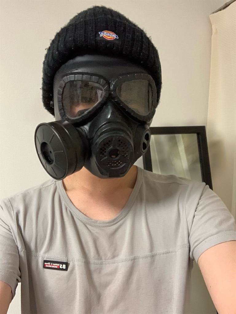 f:id:g913:20201224201817j:image f:id:g913:20201224201817j:image