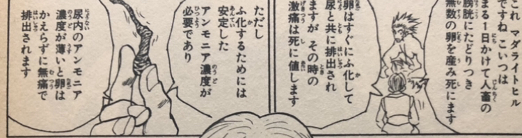 f:id:g913:20210223213456j:plain