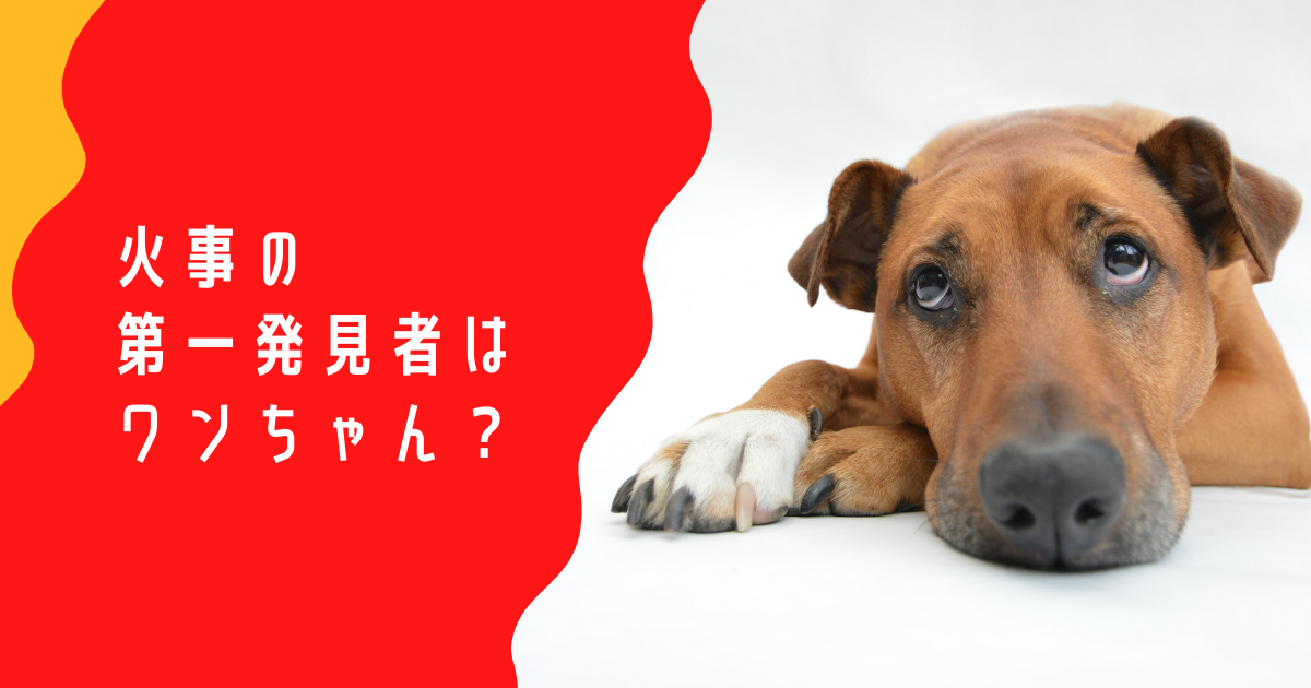 f:id:g913:20220403165042p:plain