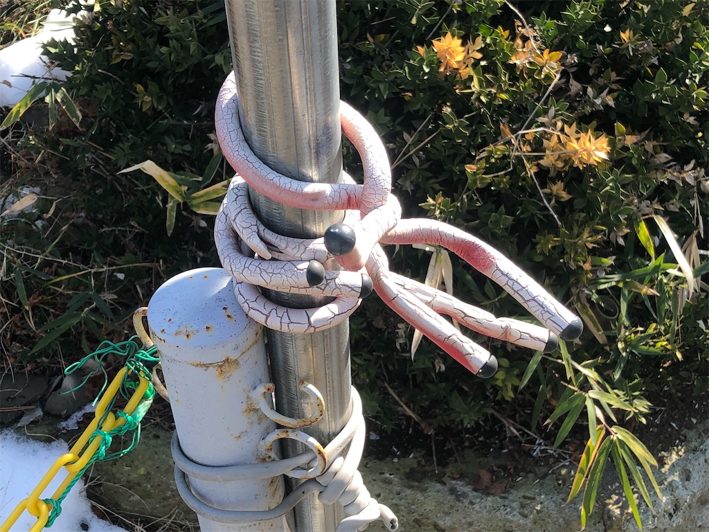 f:id:g913:20240210111713j:image