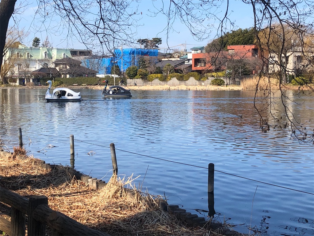 f:id:g913:20240210111812j:image