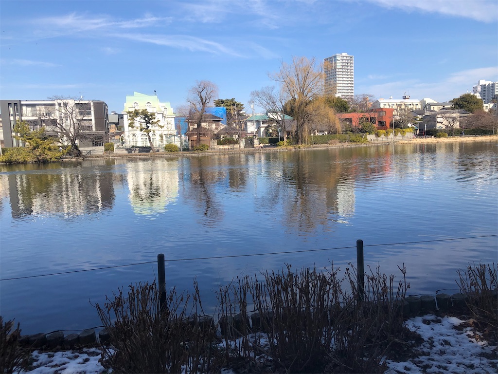 f:id:g913:20240210111827j:image