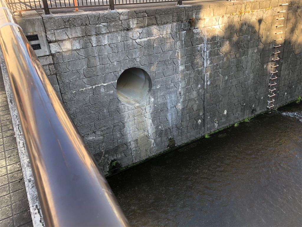 f:id:g913:20240210111922j:image