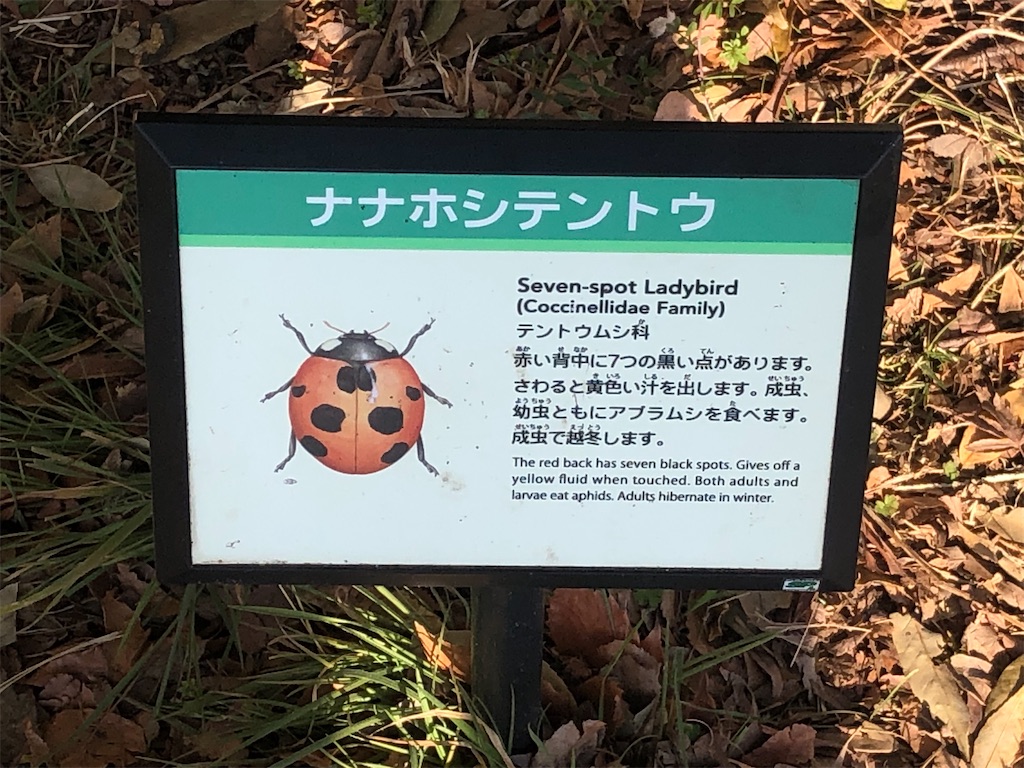 f:id:g913:20240210114558j:image