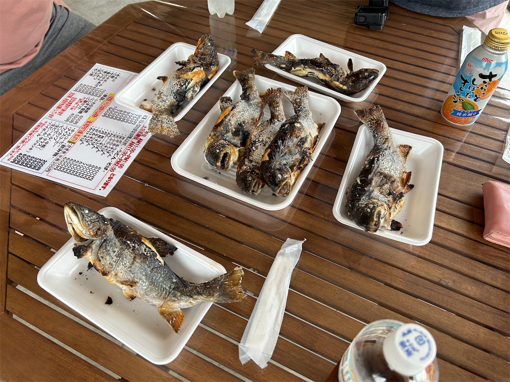 f:id:g913:20240714162947j:image f:id:g913:20240714162947j:image