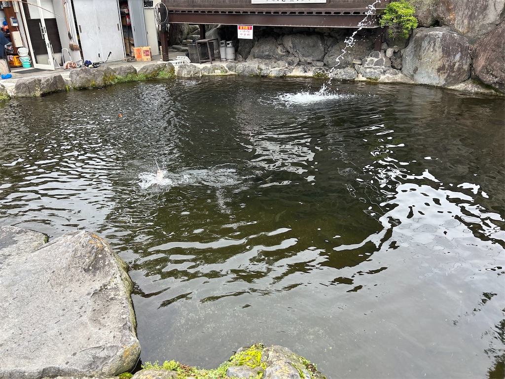 f:id:g913:20240714162951j:image f:id:g913:20240714162951j:image