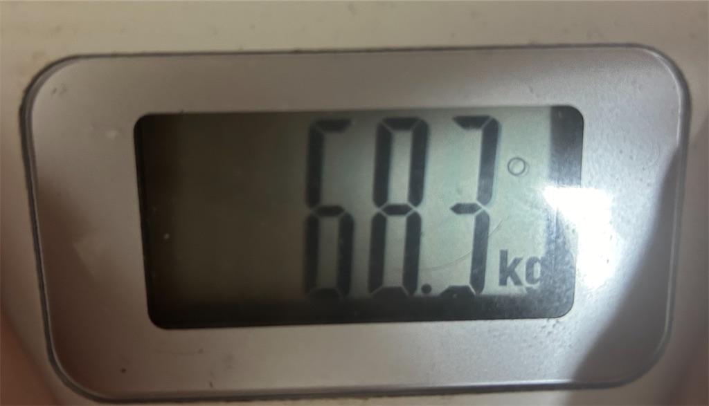 f:id:g913:20240813193111j:image f:id:g913:20240813193111j:image