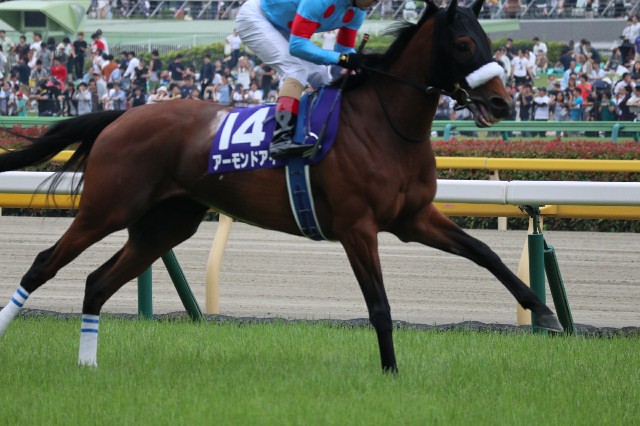 アーモンドアイ たてがみ アーモンドアイ、負けてなお強し - がーひーの一口馬主