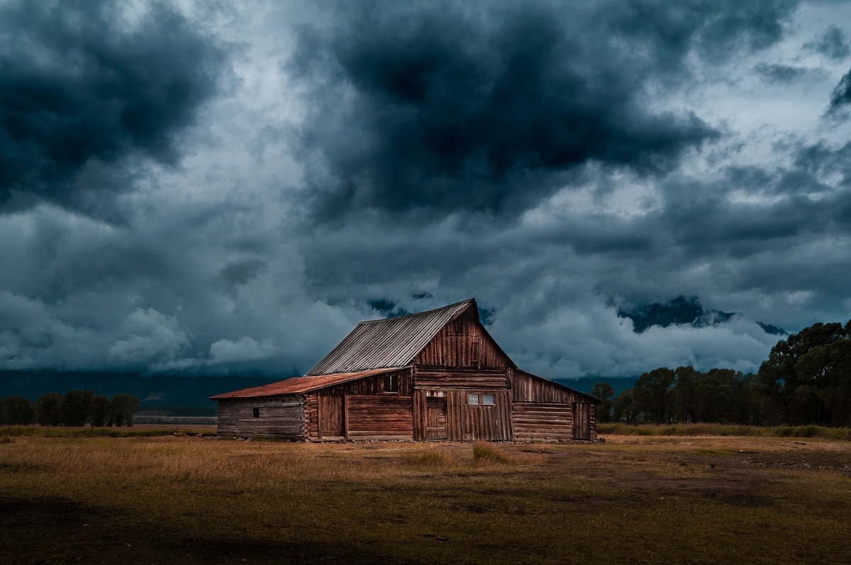 <a href="https://pixabay.com/ja/users/StockSnap-894430/?utm_source=link-attribution&utm_medium=referral&utm_campaign=image&utm_content=924958">StockSnap</a>による<a href="https://pixabay.com/ja/?utm_source=link-attribution&utm_medium=referral&utm_campaign=image&utm_content=924958">Pixabay</a>からの画像