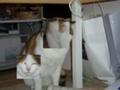 OpenCV サンプル2