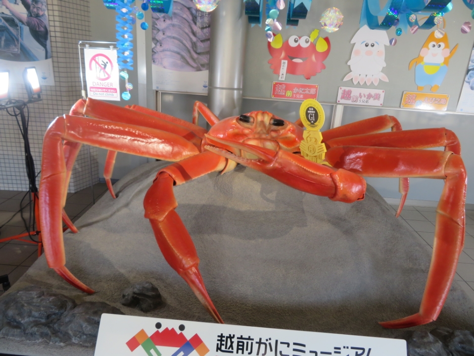 k3で人食い蟹に襲われた🦀😭 - がばがばbikeとかブログ〘シーズン3〙