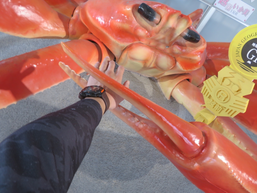 k3で人食い蟹に襲われた🦀😭 - がばがばbikeとかブログ〘シーズン3〙