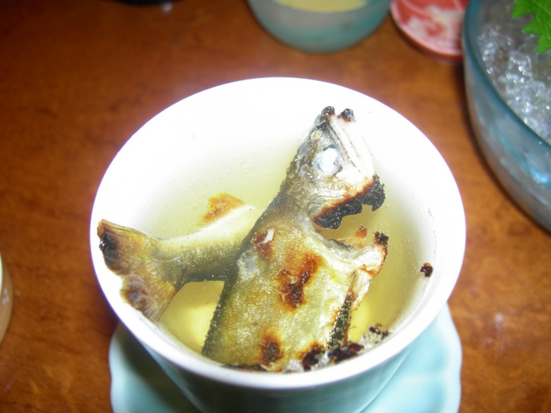 f:id:gabo1322:20090718201047j:image f:id:gabo1322:20090718201047j:image