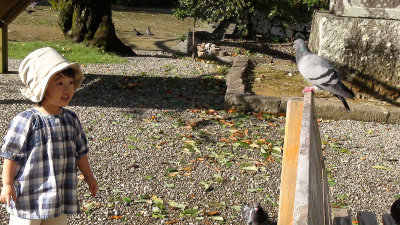f:id:gabo1322:20120930152035j:image:w640