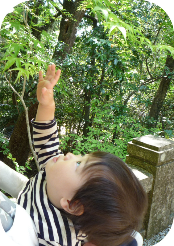 f:id:gabo1322:20140426105411j:image:w440