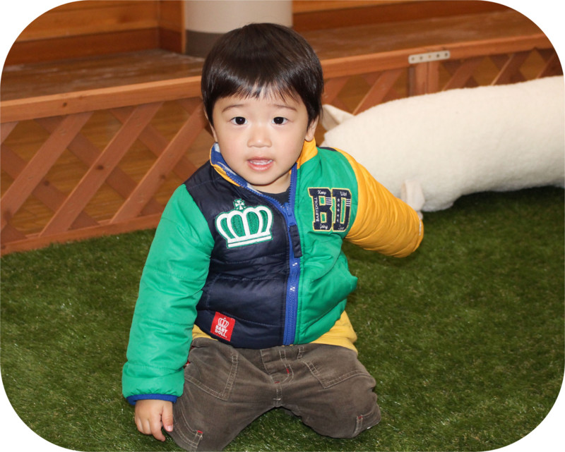f:id:gabo1322:20141223133526j:image:w640